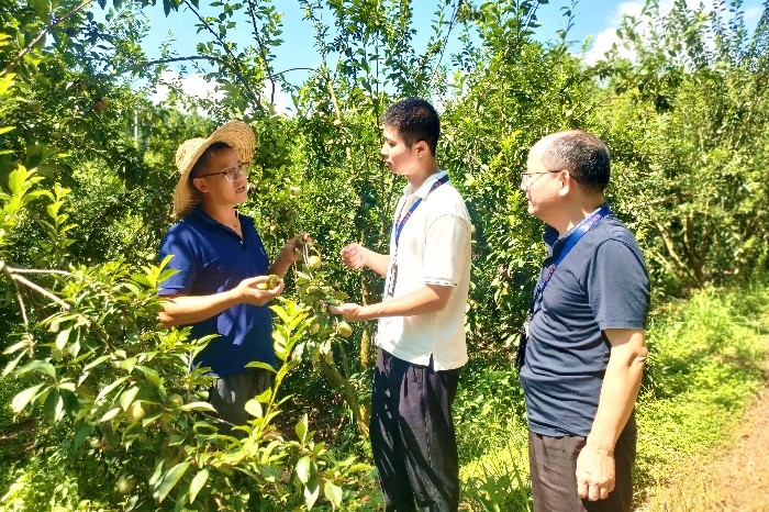 1757828810216895.jpg 图片10.jpg